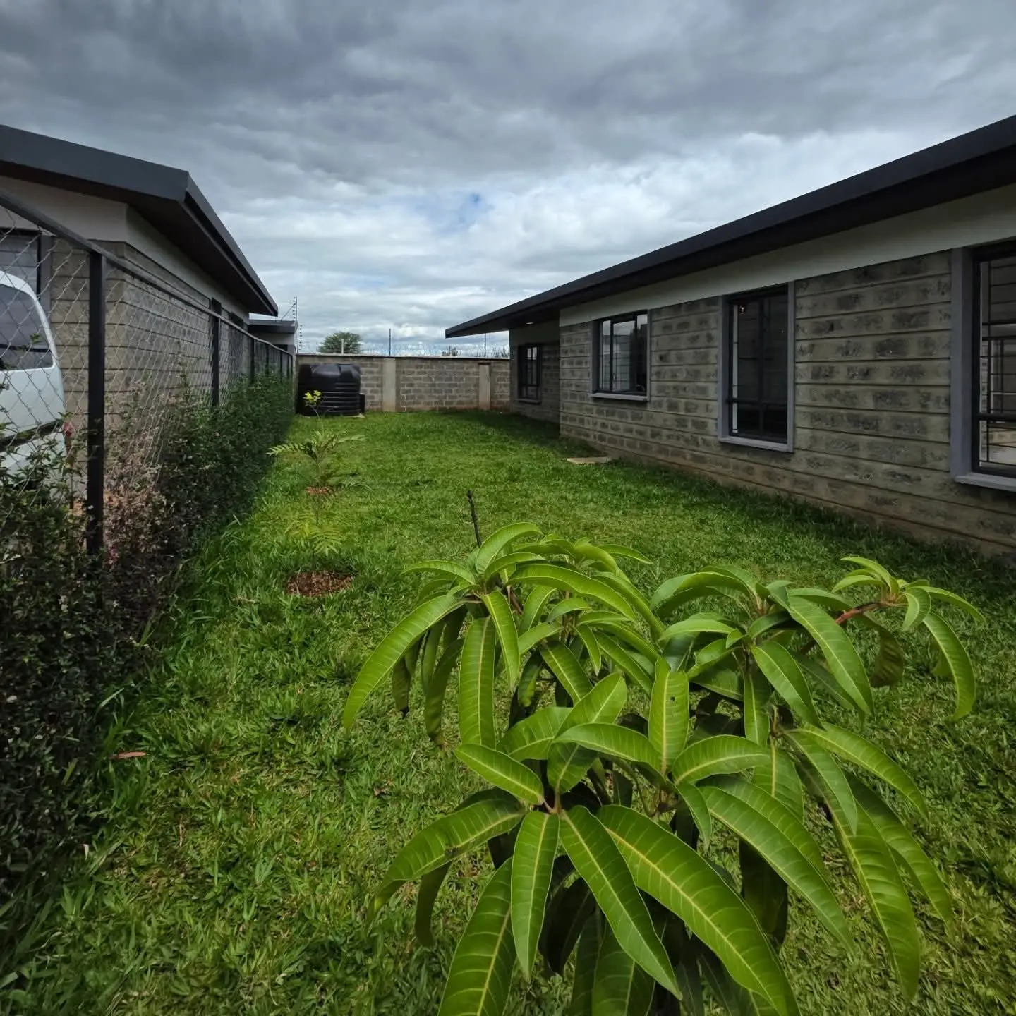 3 Bedroom Bungalow plus Dsq For Sale thumbnail 3