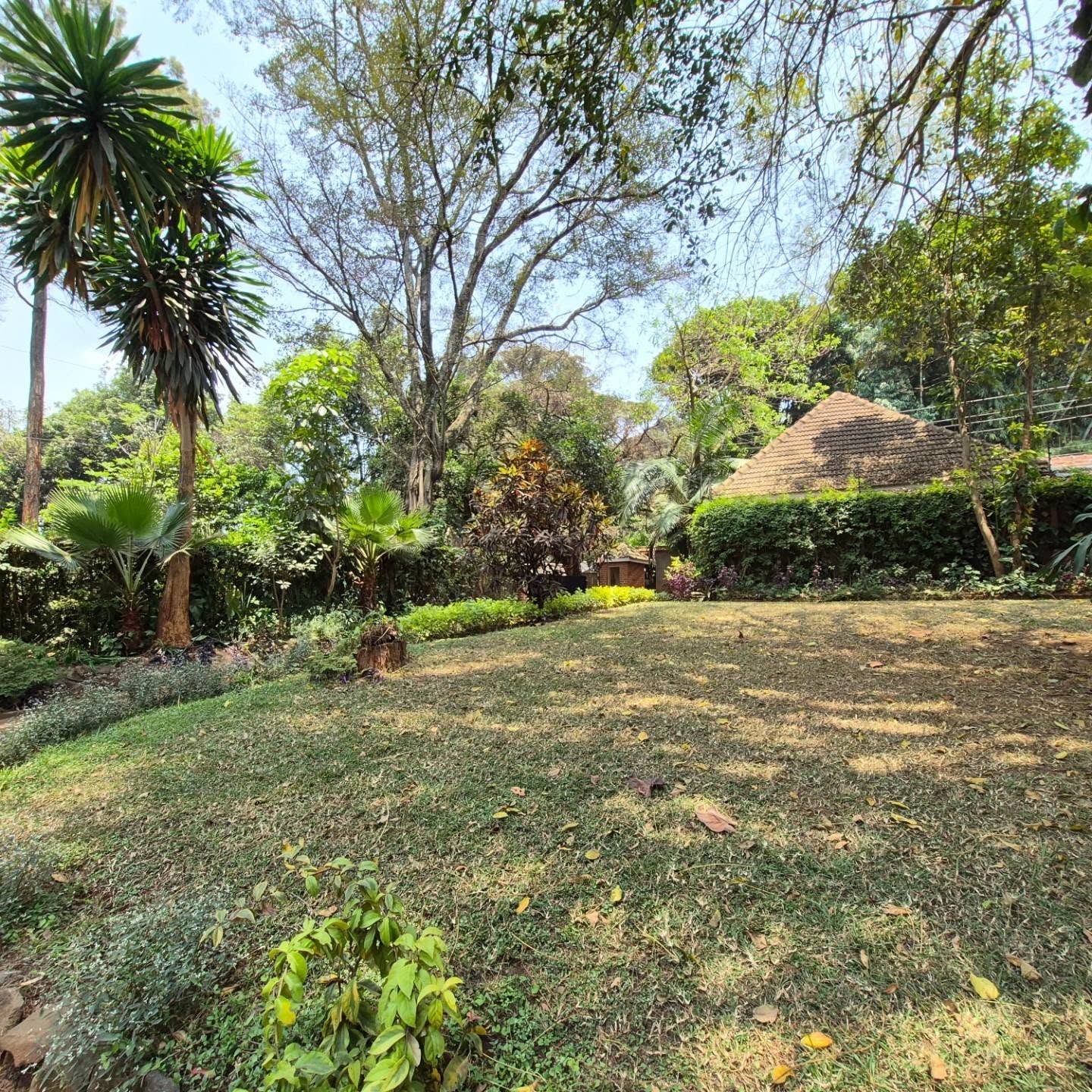 4 Bedroom Townhouse with DSQ thumbnail 20