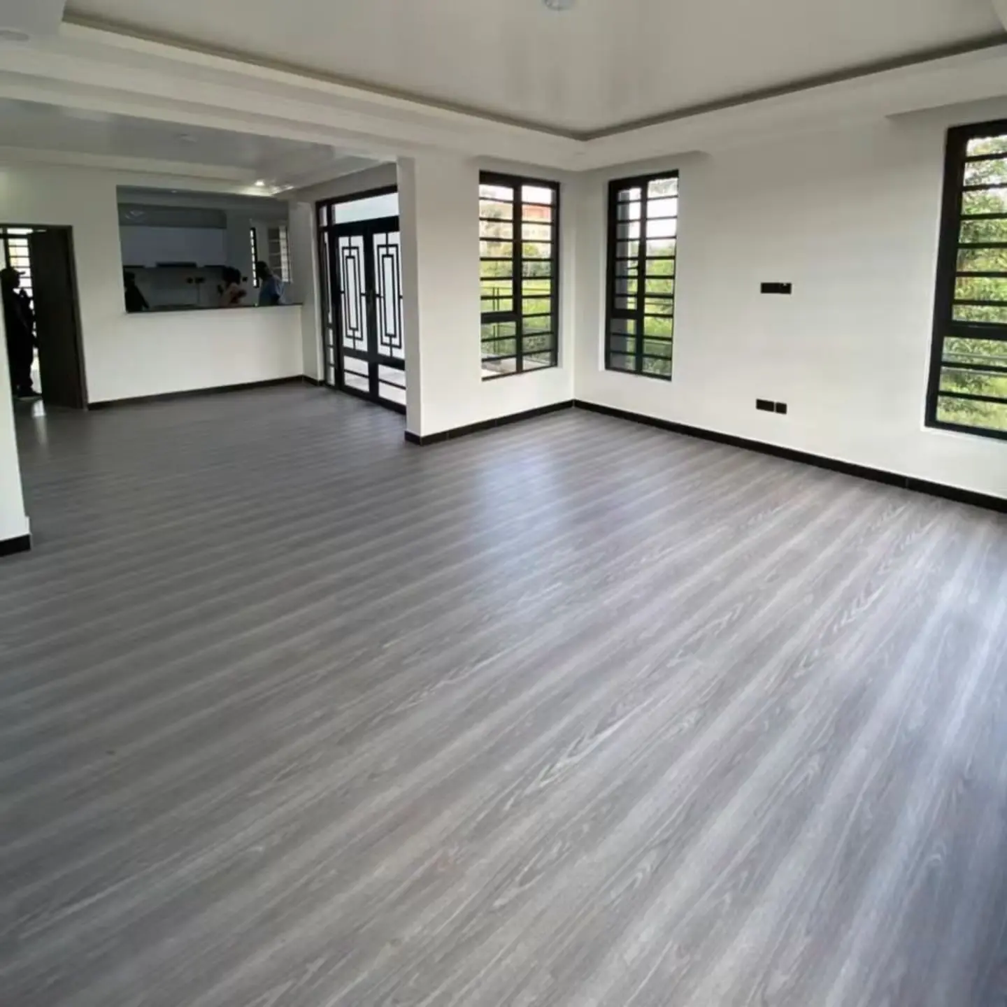 Modern 4 Bedroom House + DSQ To Let thumbnail 4