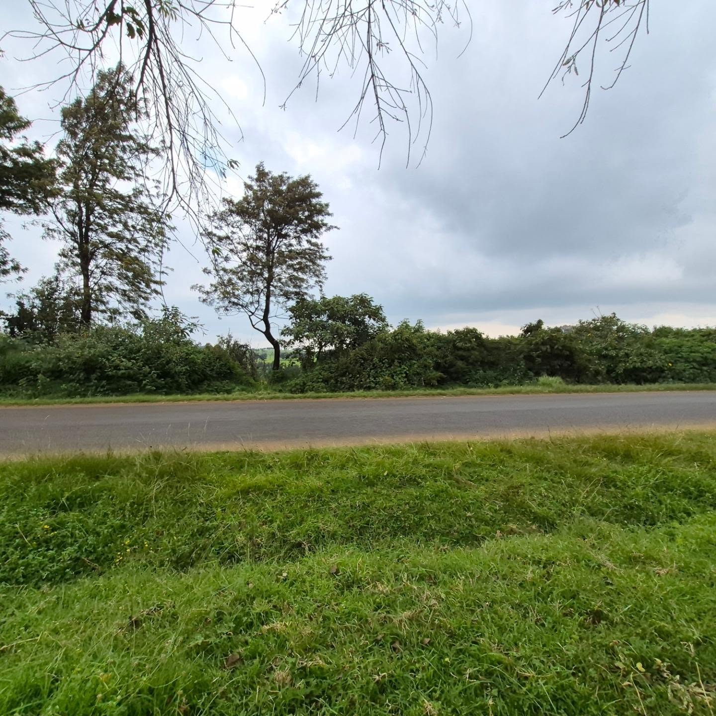 3 Acres of Land For Sale in Tigoni ,Limuru thumbnail 9