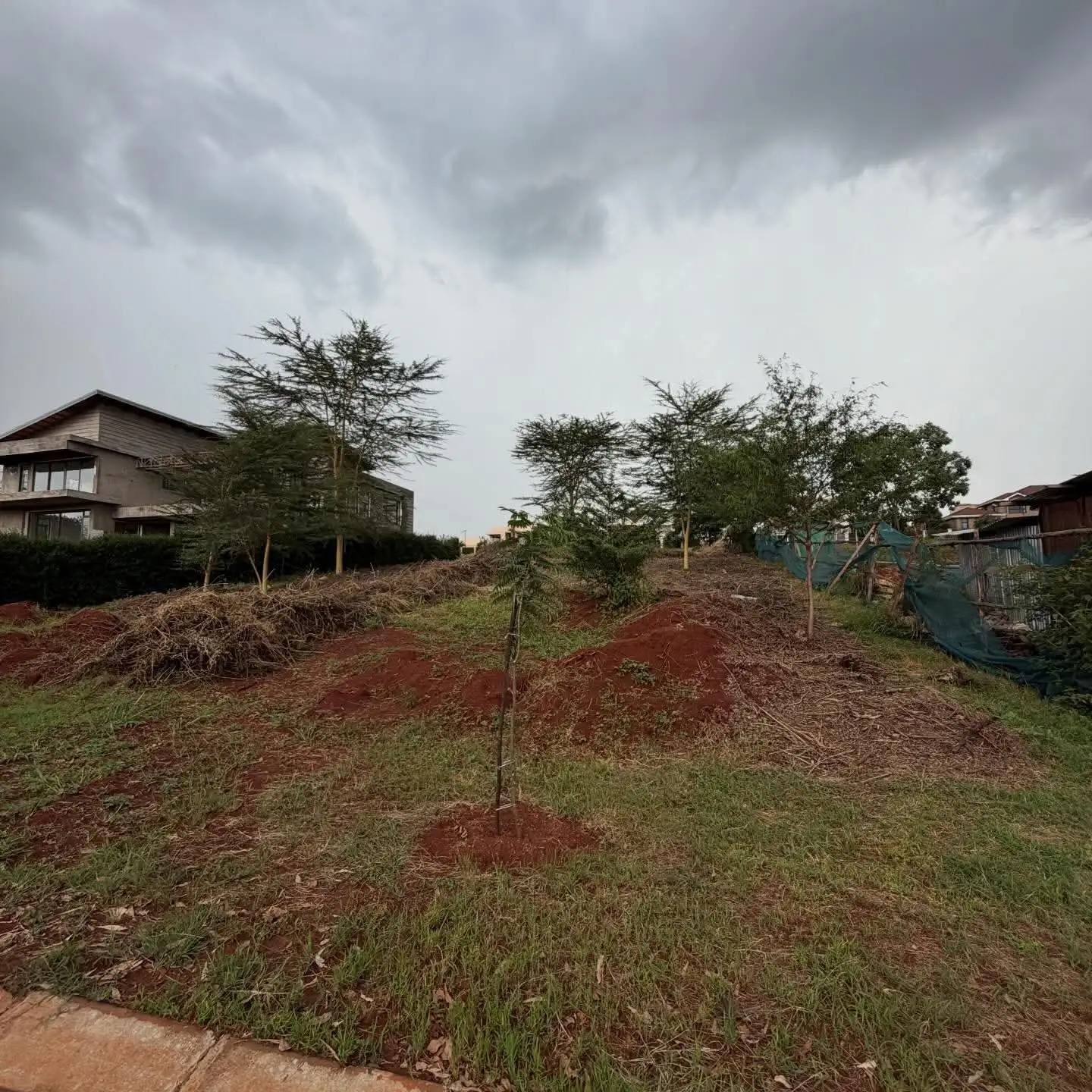 Prime 1/4 Acre Plots for Sale thumbnail 2