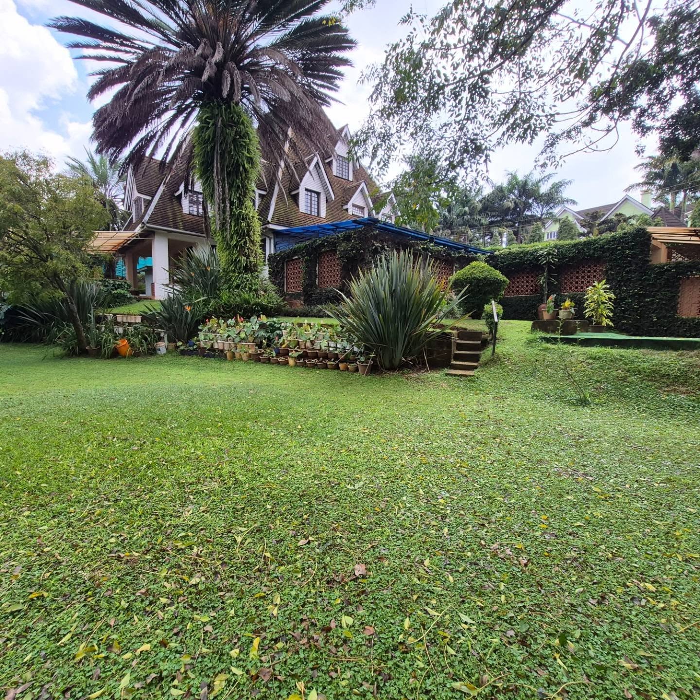 7 Bedroom British-Style House plus Dsq For Sale thumbnail 19