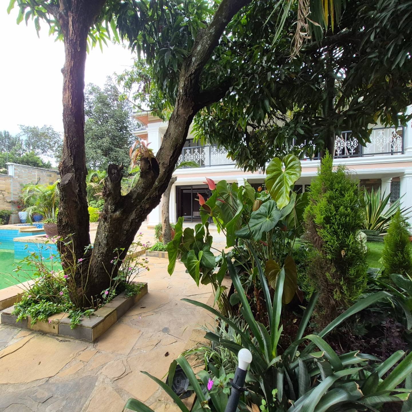 Beautiful 5 bedrooms Ambassadorial House to let in Runda|Nairobi thumbnail 5