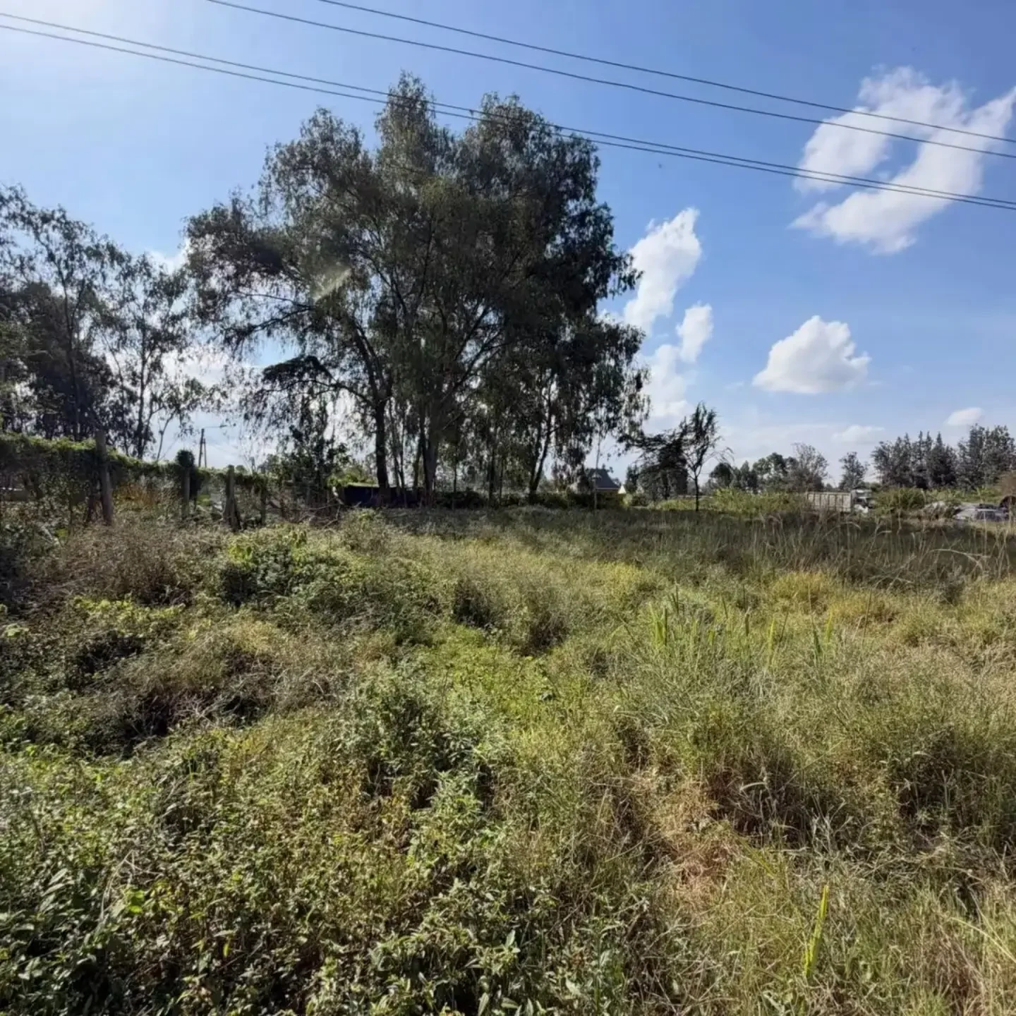 5 Acres Land for Sale thumbnail 6