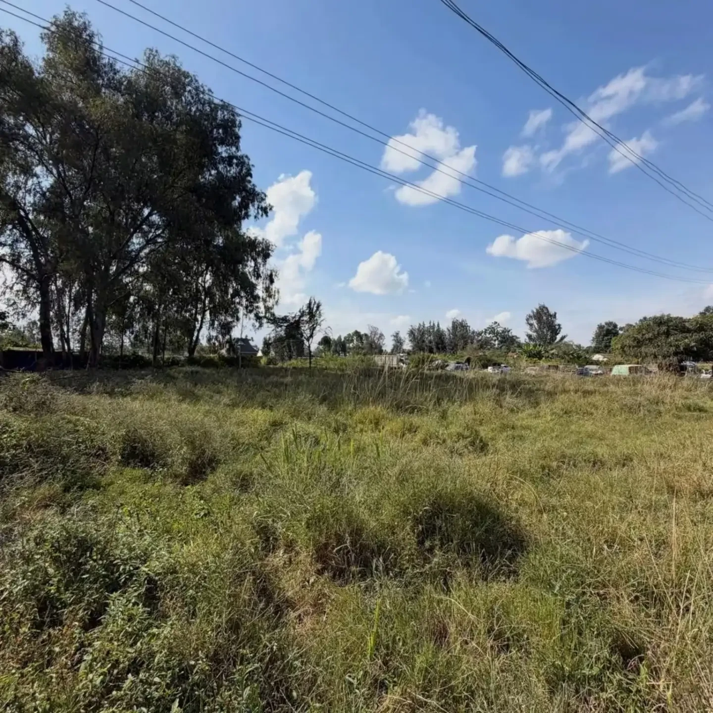 5 Acres Land for Sale thumbnail 8
