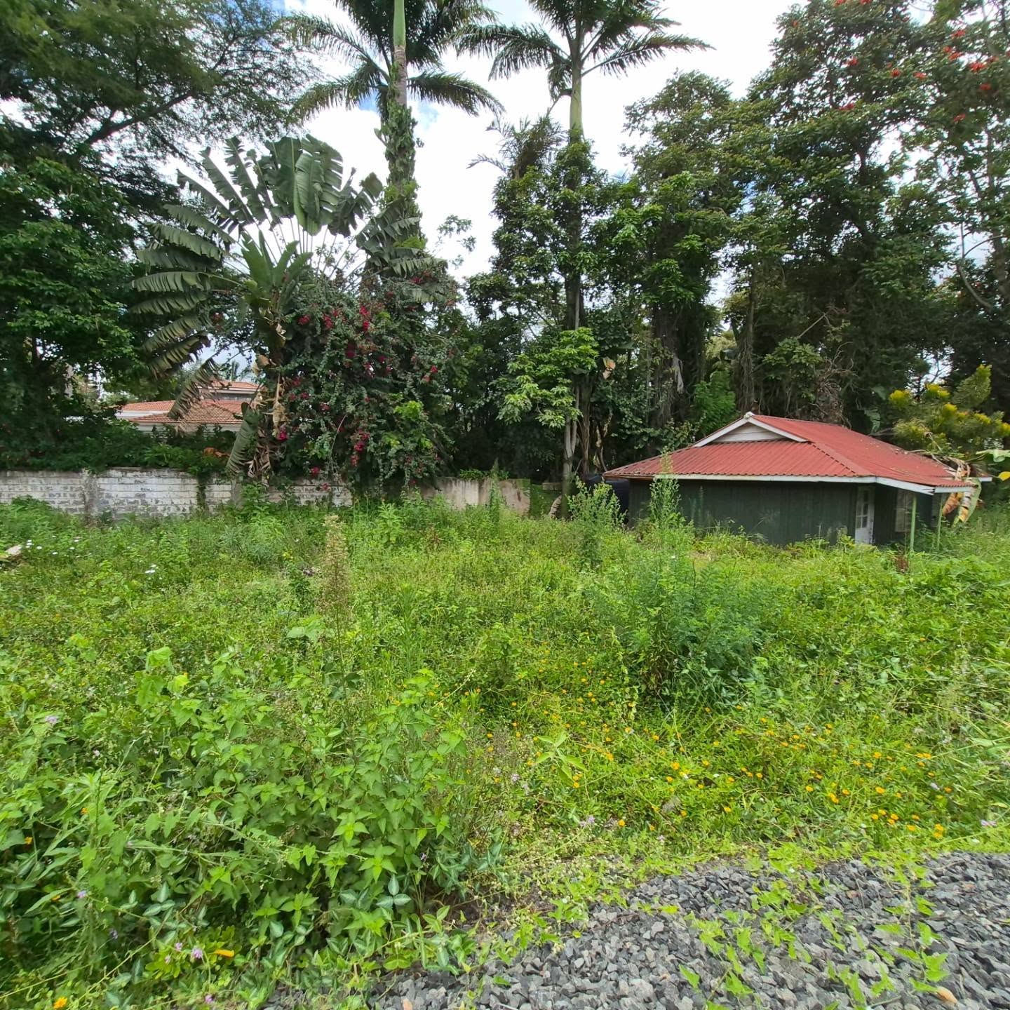 Half Acre Plot For Sale in Gigiri,Nairobi thumbnail 7