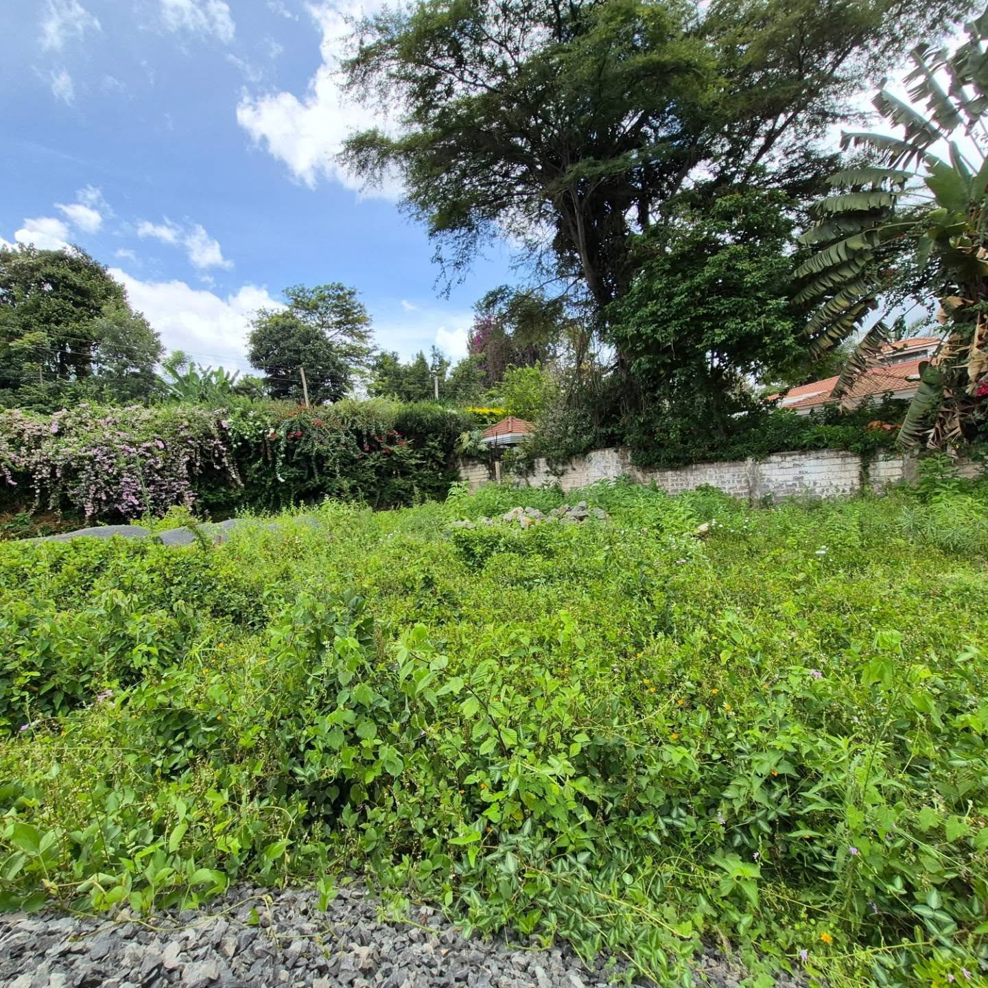 HALF ACRE COMMERCIAL PLOT FOR SALE thumbnail 7