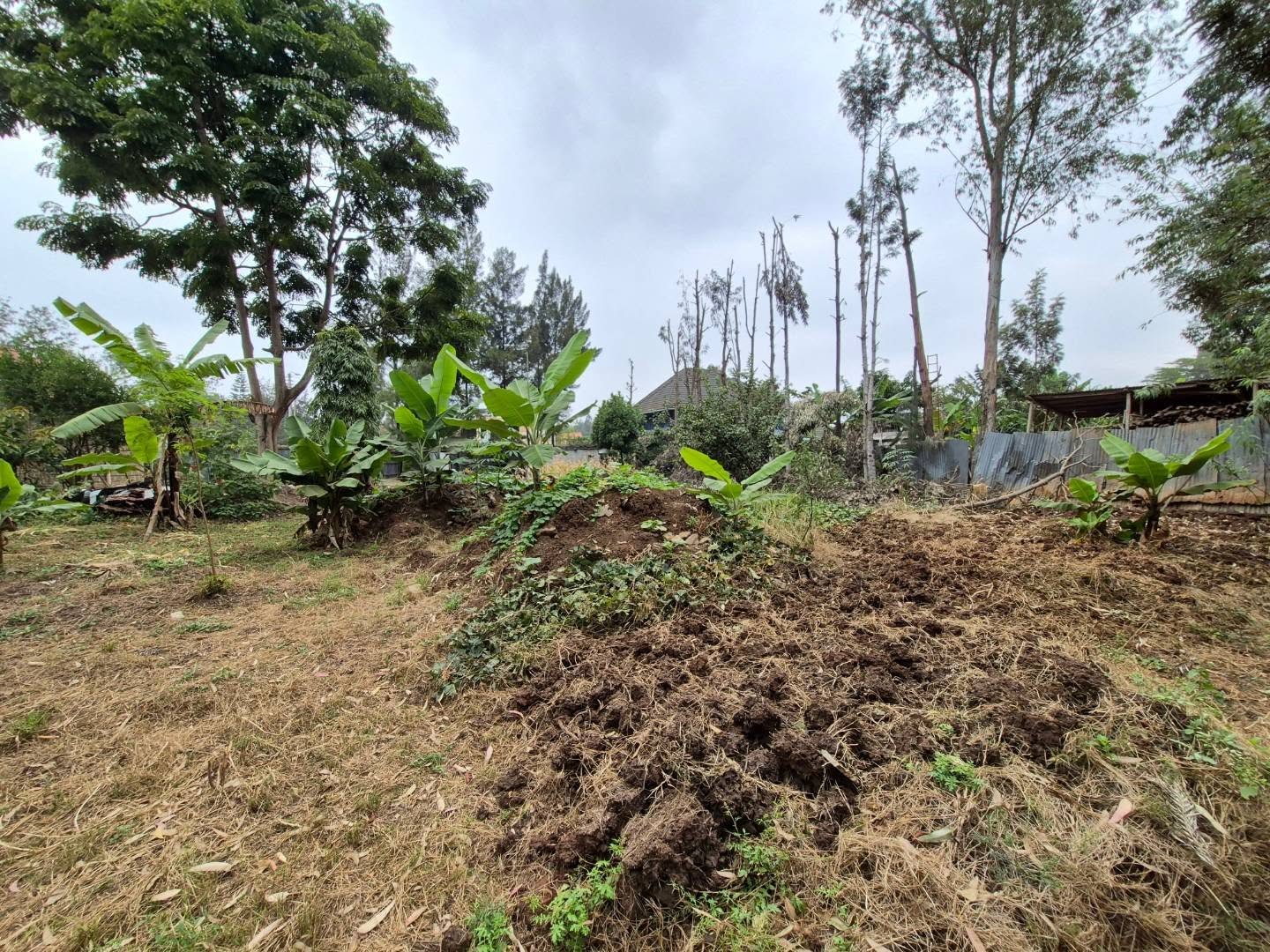 1/4 Acre Plot For Sale in Thome Estate thumbnail 6