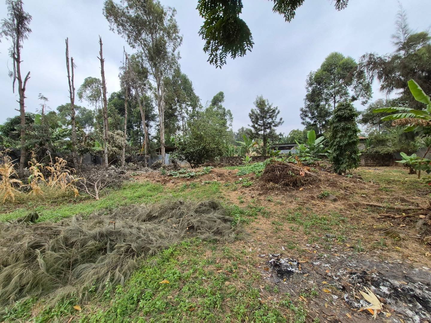 1/4 Acre Plot For Sale in Thome Estate thumbnail 7