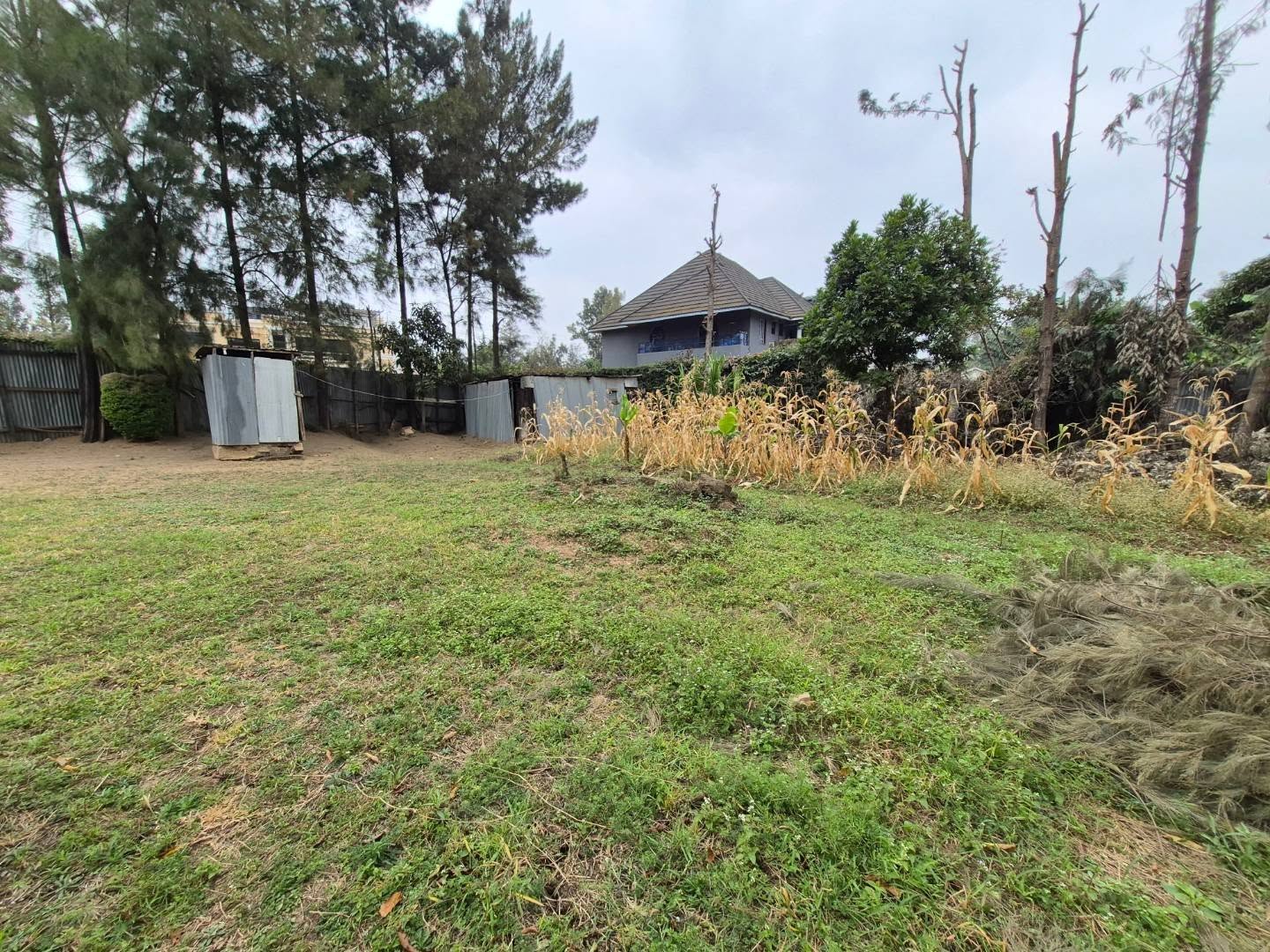 1/4 Acre Plot For Sale in Thome Estate thumbnail 8