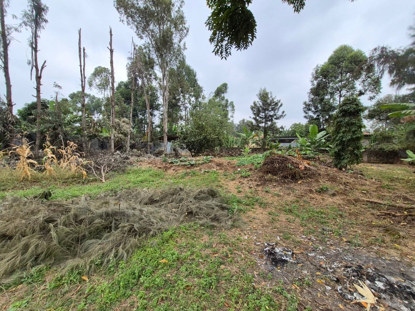 1/4 Acre Plot For Sale in Thome Estate thumbnail 9