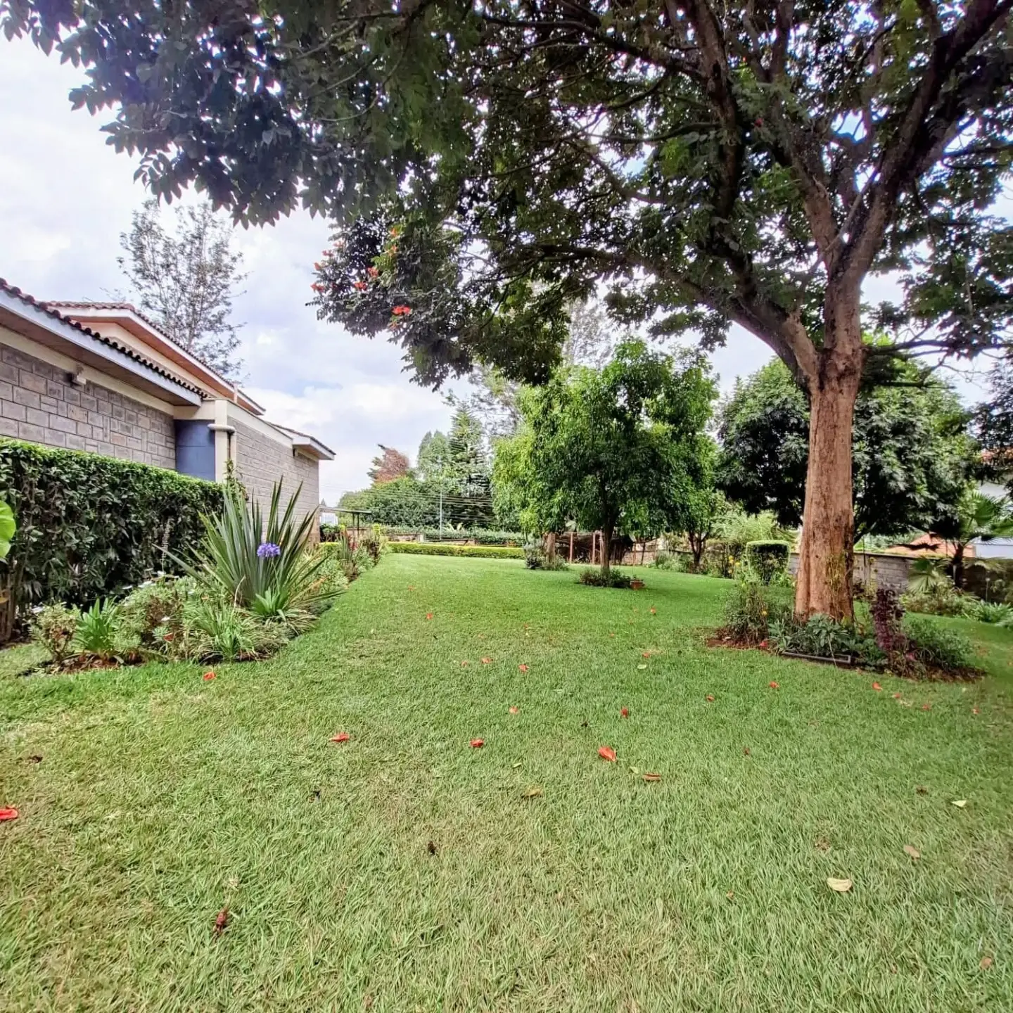 Serene 5 Bedroom Home for Rent in Kitisuru thumbnail 2