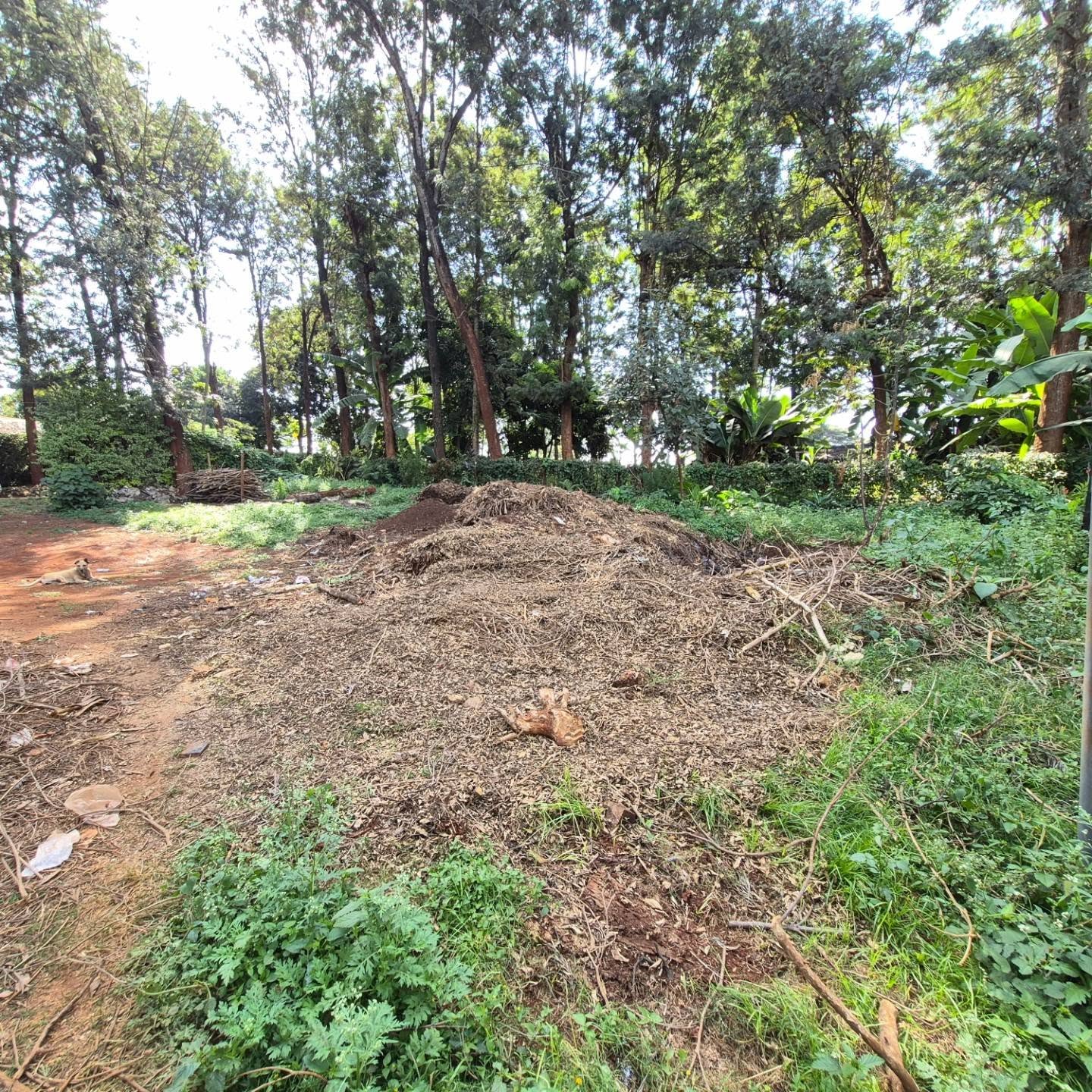 Land for Sale in Runda Kiambu Road — Runda, Nairobi