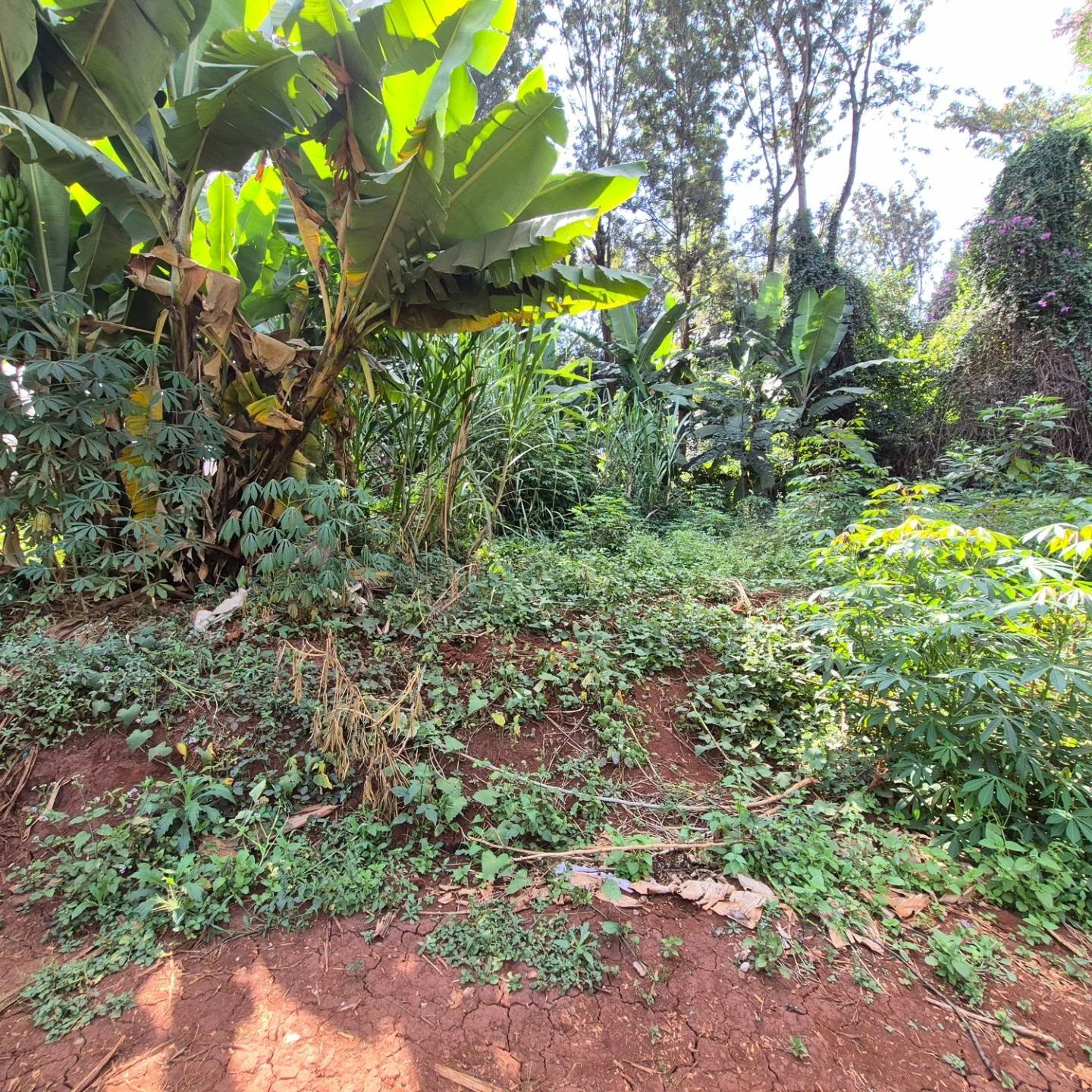 Land for Sale in Runda Kiambu Road thumbnail 4