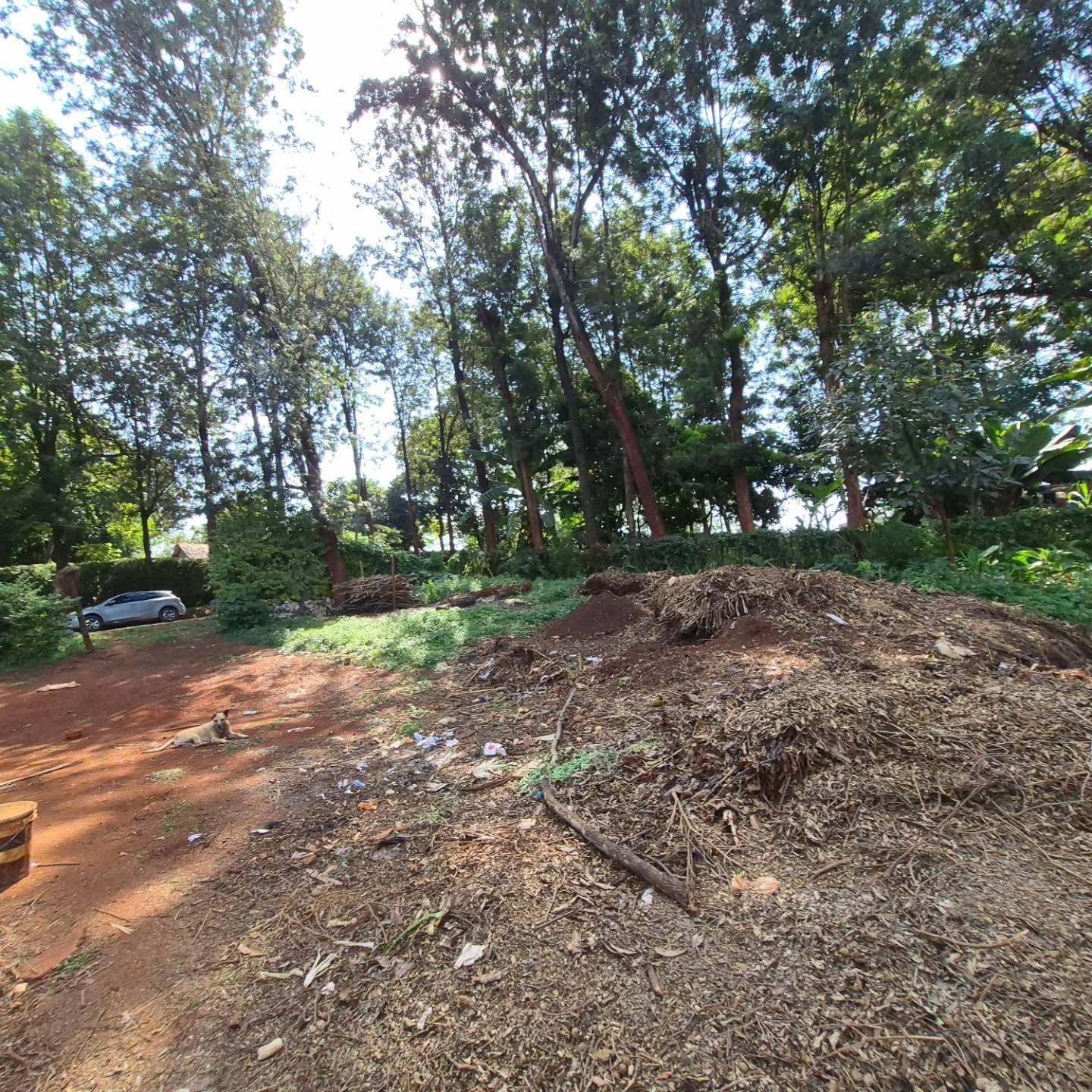 Land for Sale in Runda Kiambu Road thumbnail 5