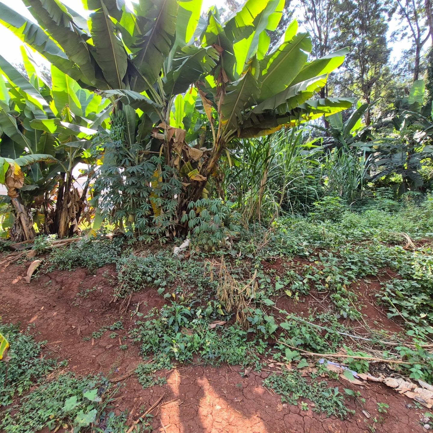 Land for Sale in Runda Kiambu Road thumbnail 6