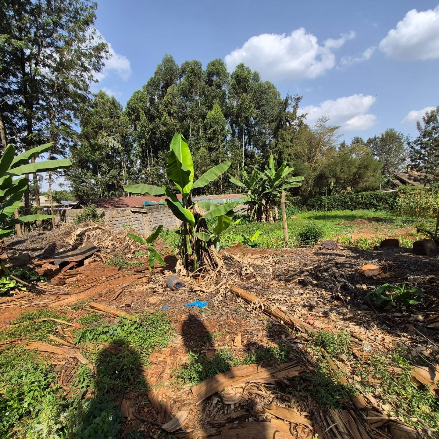 Land for Sale in Runda Kiambu Road thumbnail 9