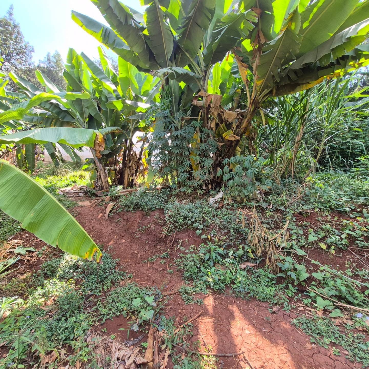 Land for Sale in Runda Kiambu Road thumbnail 10