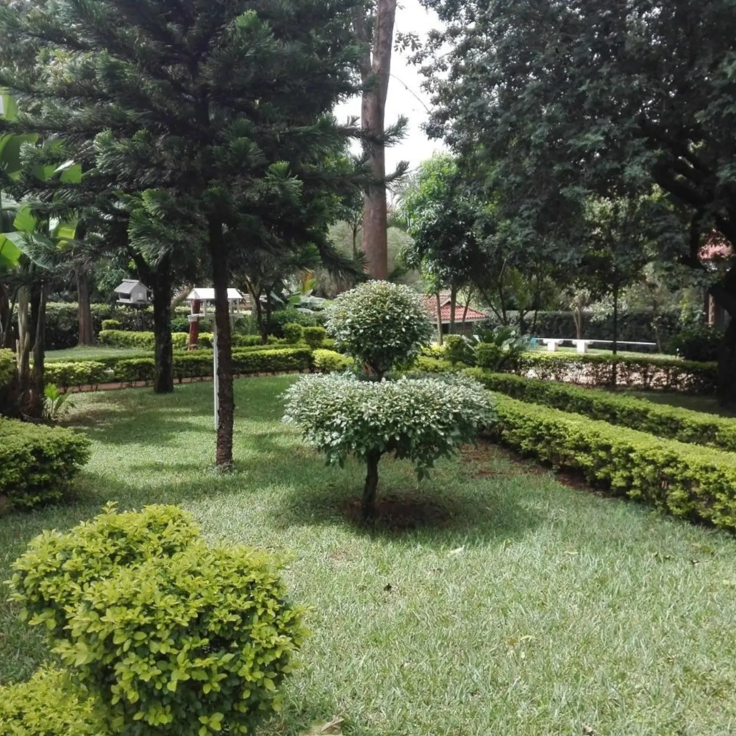 Luxury 6 Bedroom House For Sale in Runda thumbnail 5