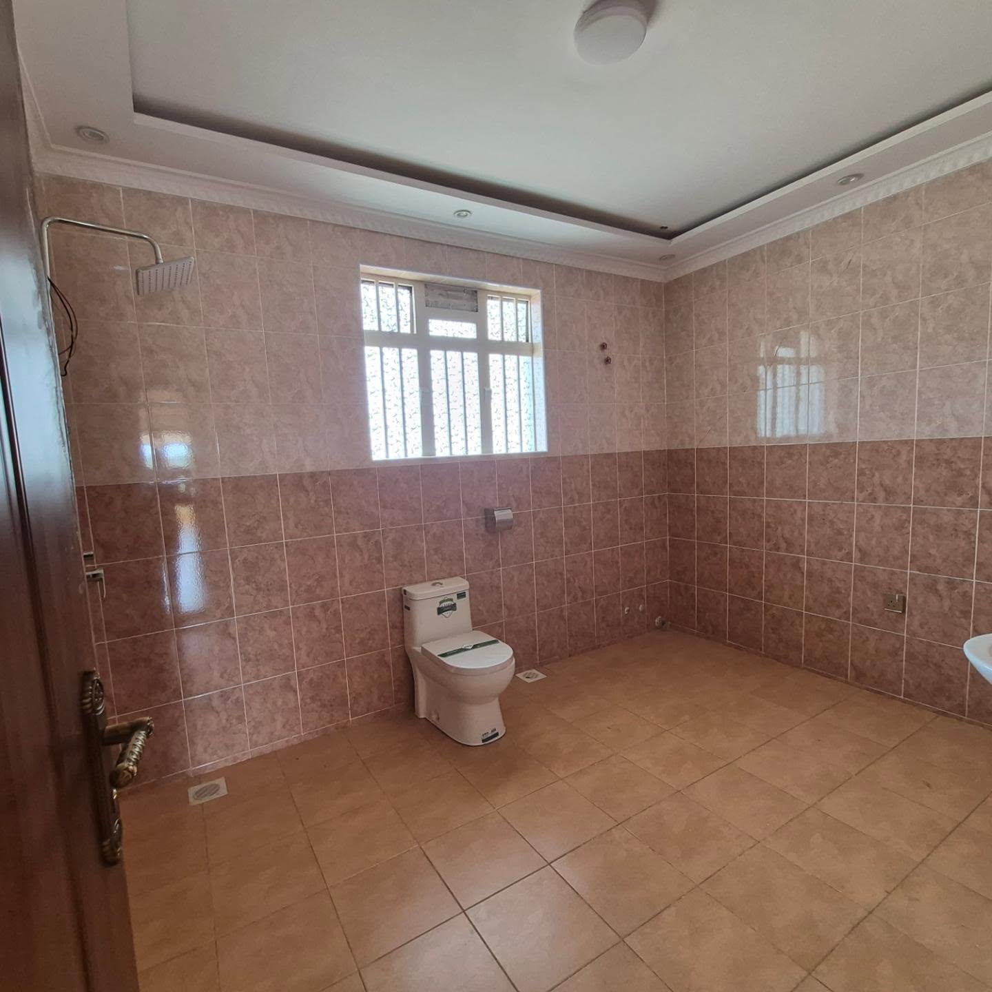 5 Bedroom Home in Ruiru thumbnail 19