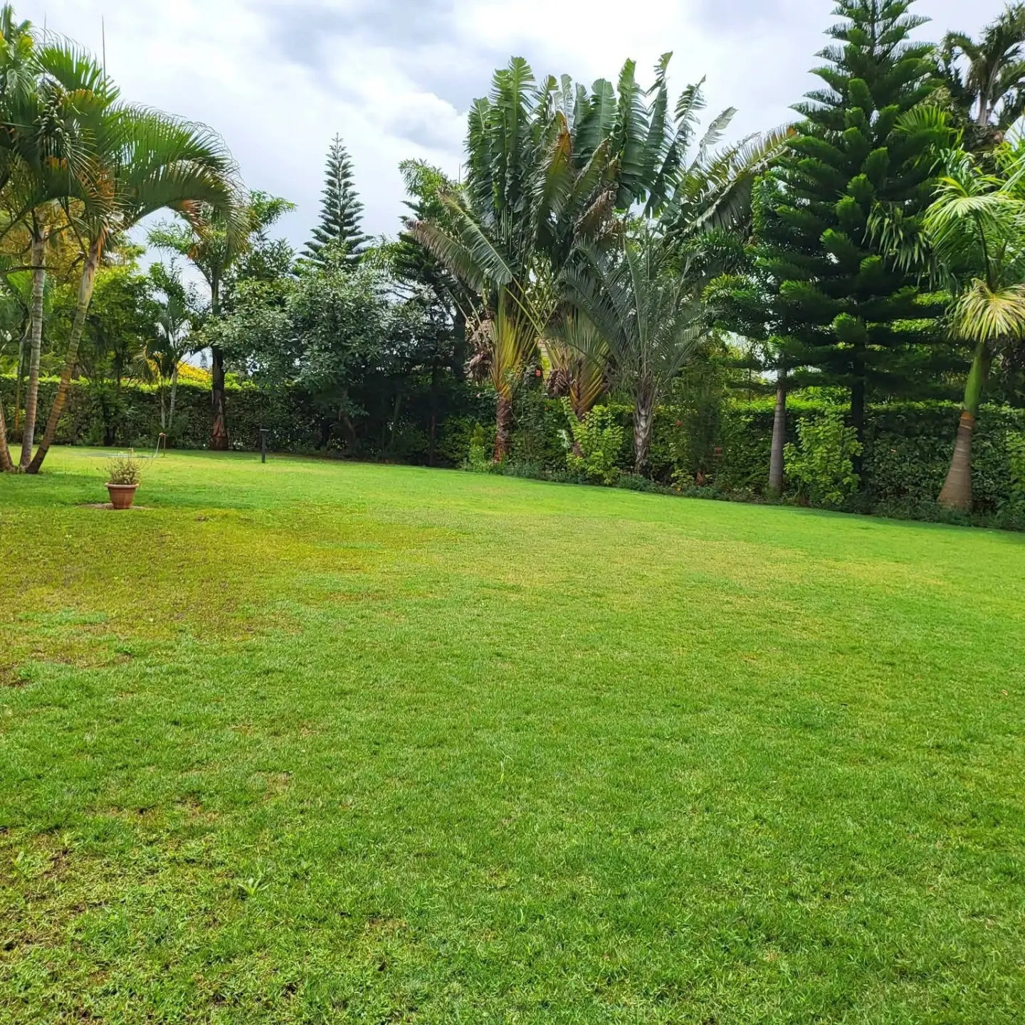 Modern 5 Bedroom Townhouse for Rent in Runda thumbnail 14