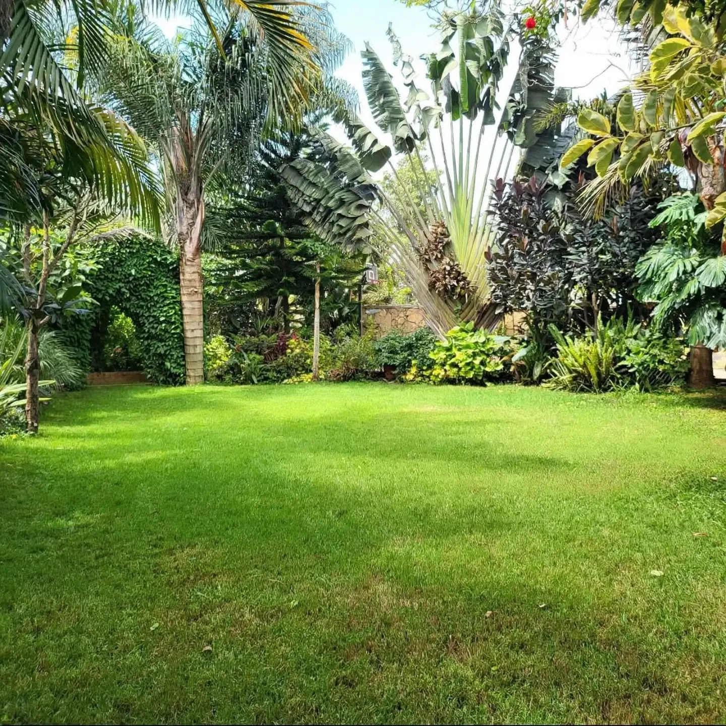 Modern 6 Bedroom House For Rent In Runda thumbnail 2