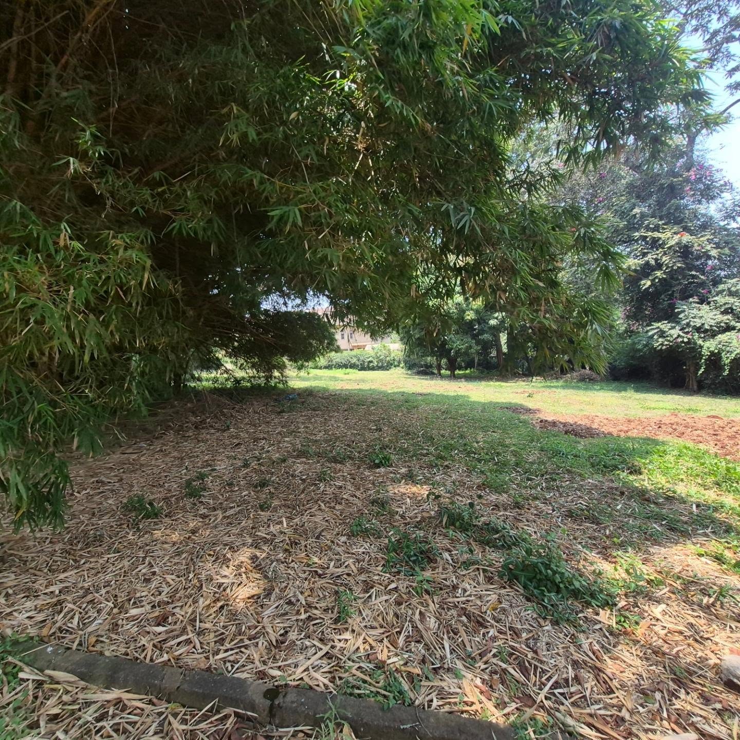 Spacious 4 Bedroom Land For Rent In Muthaiga thumbnail 19