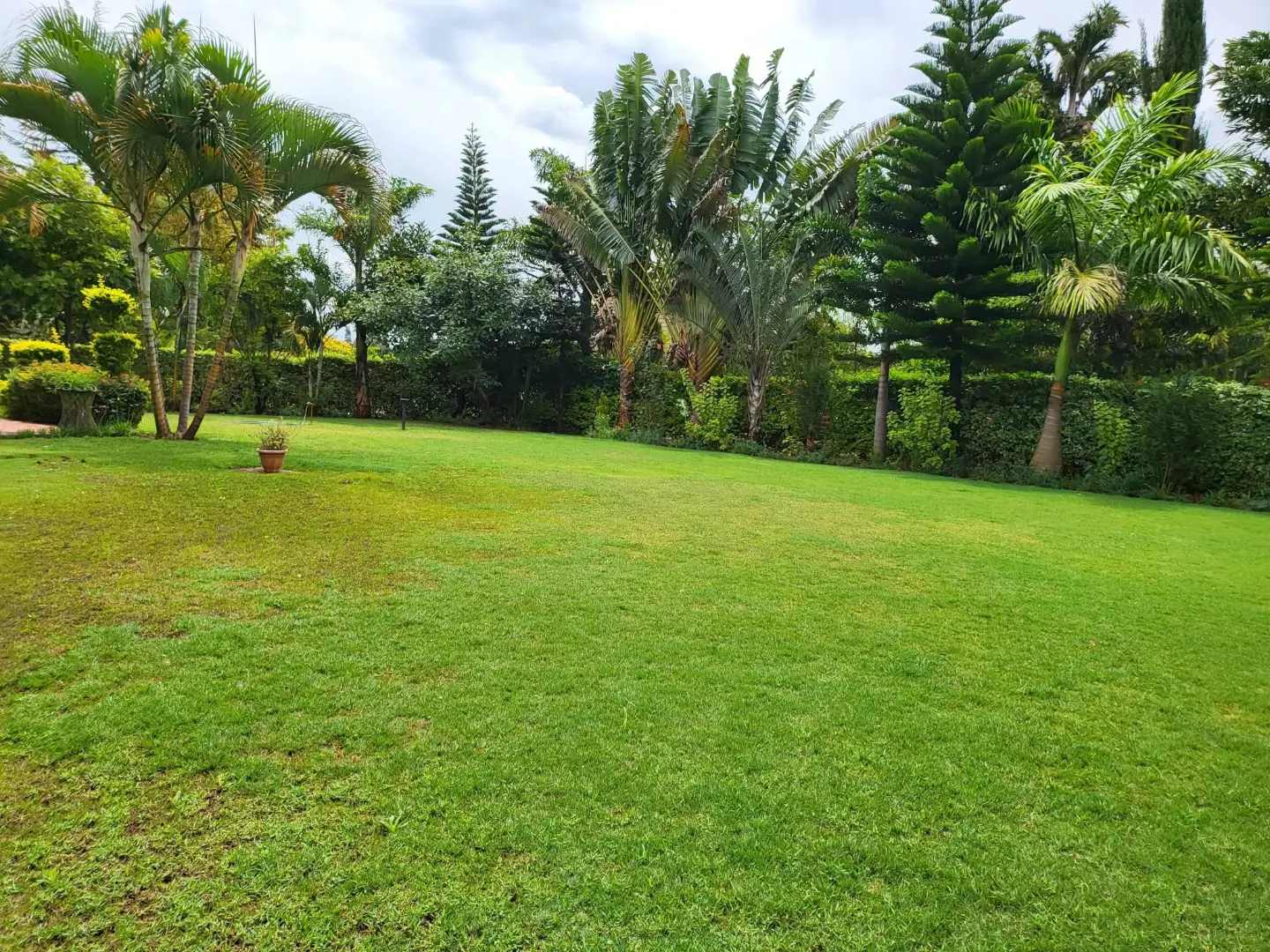 5 Bedroom All-Ensuite House with DSQ For Rent In Runda thumbnail 13