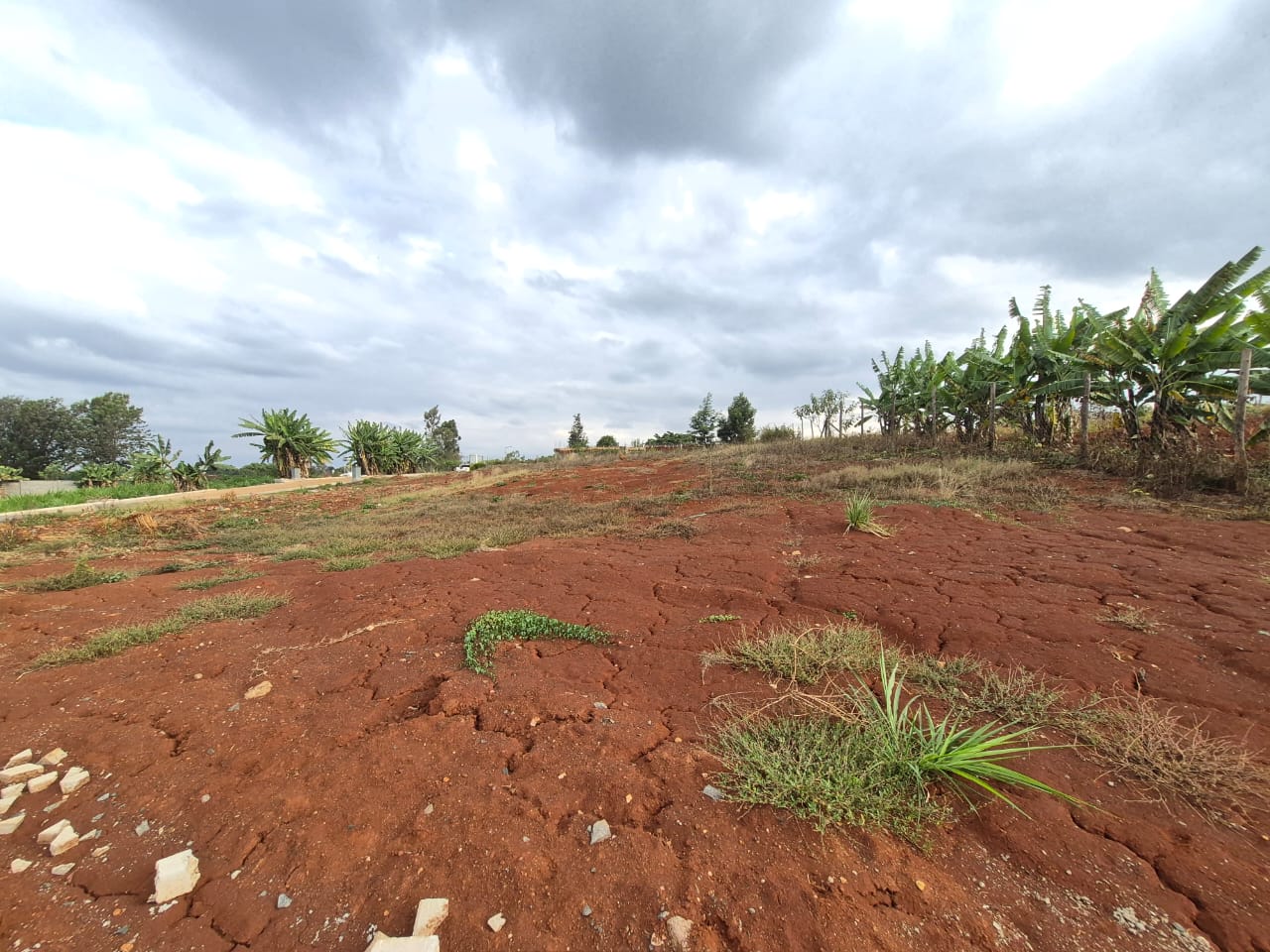 Land For Sale In Runda — Runda, Nairobi