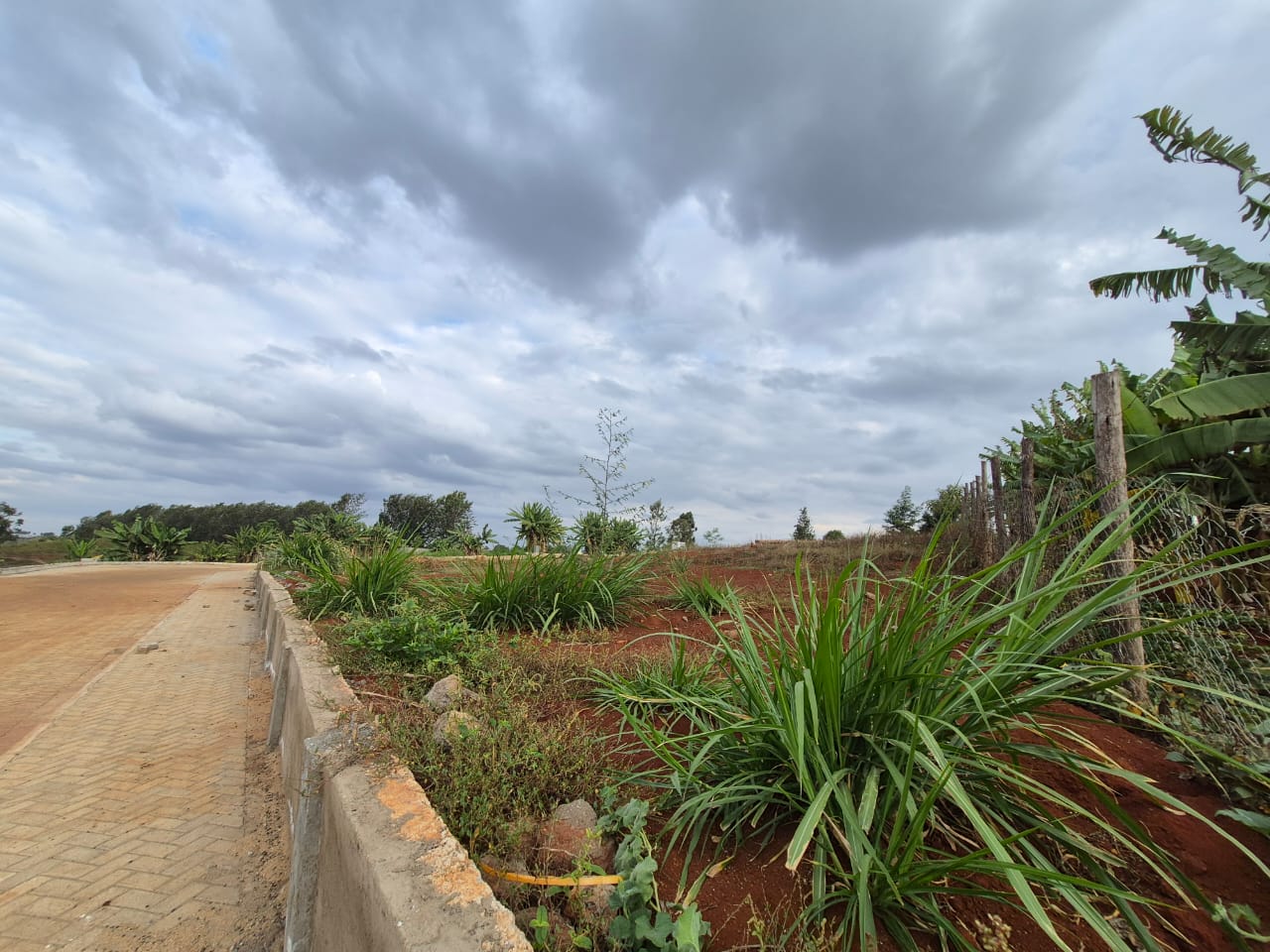 Land For Sale In Runda thumbnail 2