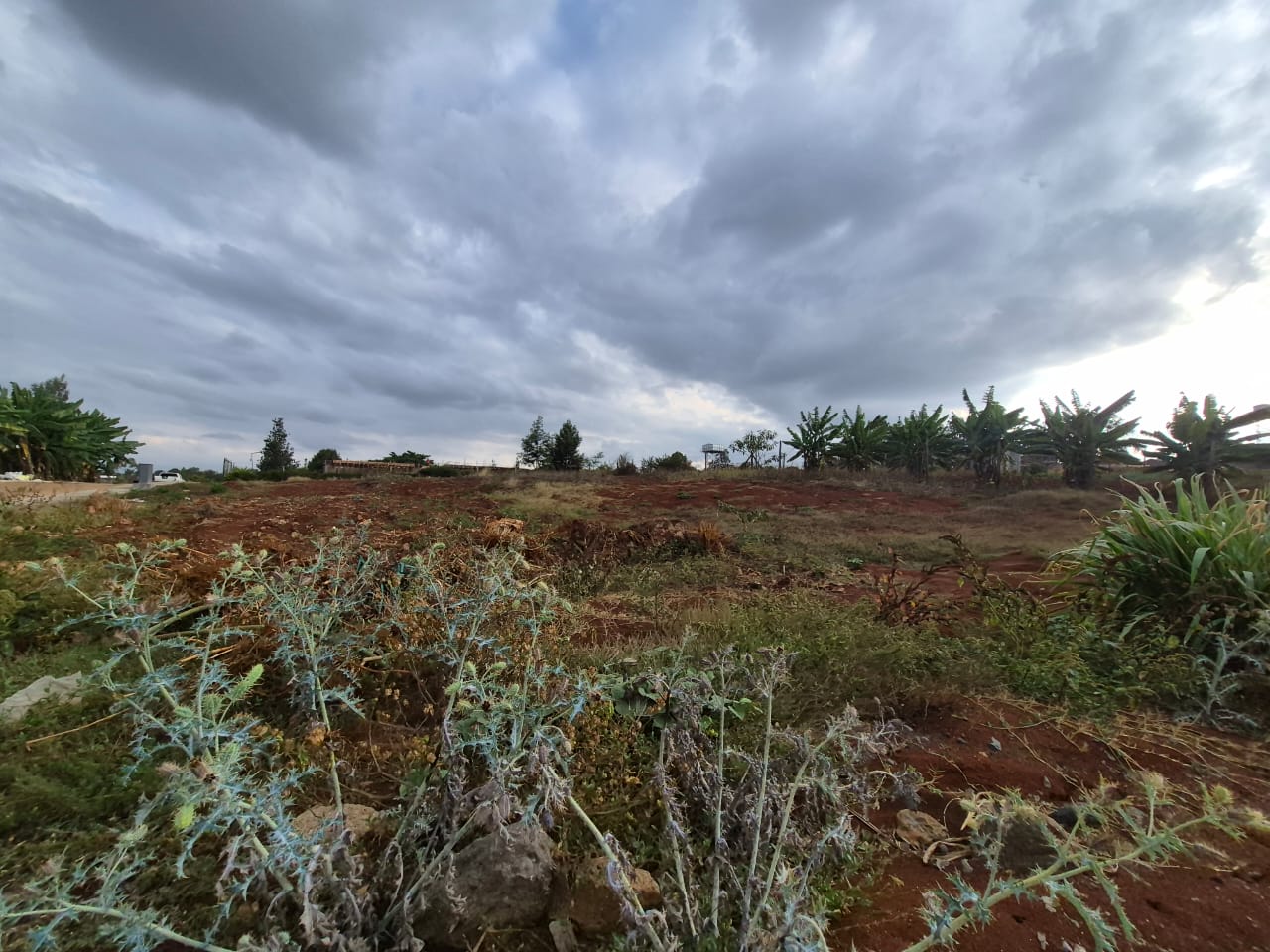 Land For Sale In Runda thumbnail 6